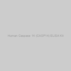 Image of Human Caspase 14 (CASP14) ELISA Kit